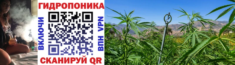 магазин продажи наркотиков  мега как войти  Бошки марихуана тримм  Грязовец 